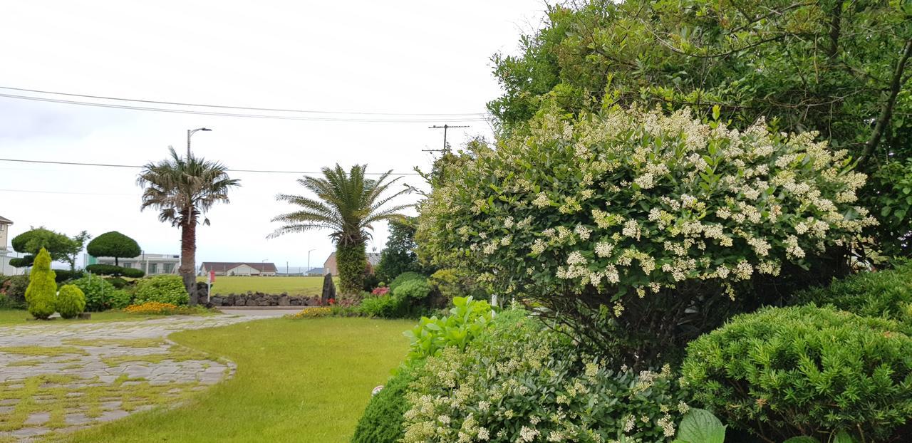 Jeju Again Olle Pension Екстериор снимка