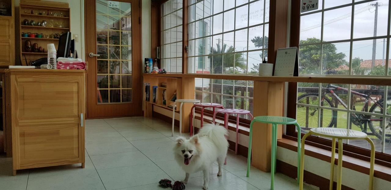 Jeju Again Olle Pension Екстериор снимка